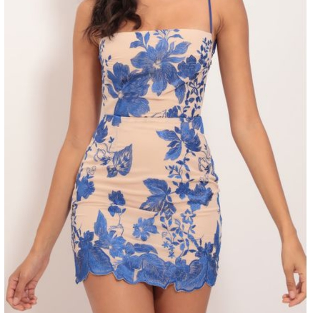 Lucia embroidered floral dress in royal nude